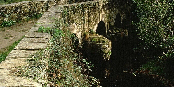 Camino Santiago